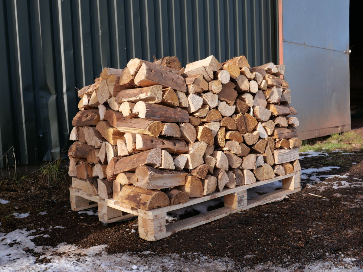 Why Buy Your Firewood in Spring?