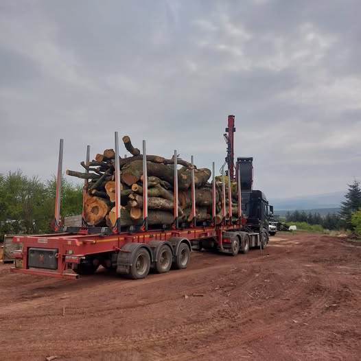 Agriforest delivery this week